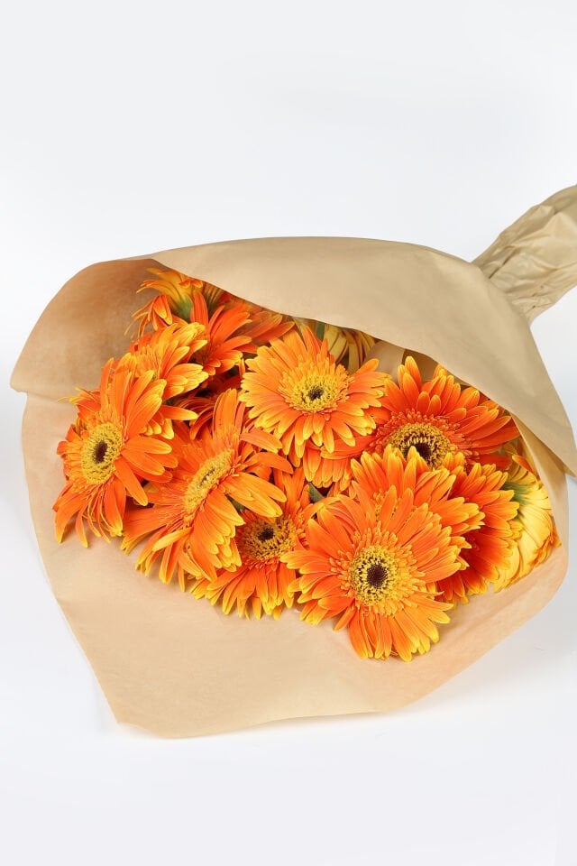 Turuncu Işık Gerbera Buketi