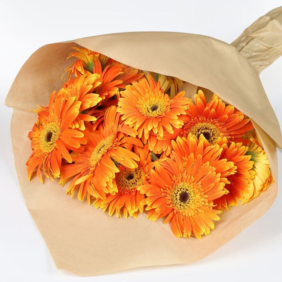 Turuncu Işık Gerbera Buketi