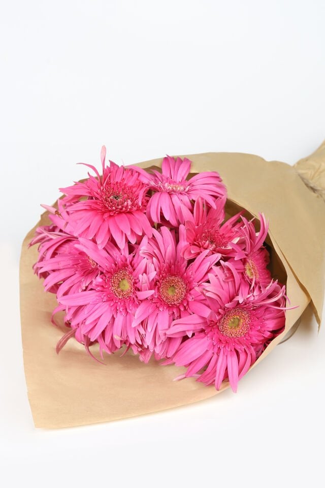 Fuşya Tutku Gerbera Buketi