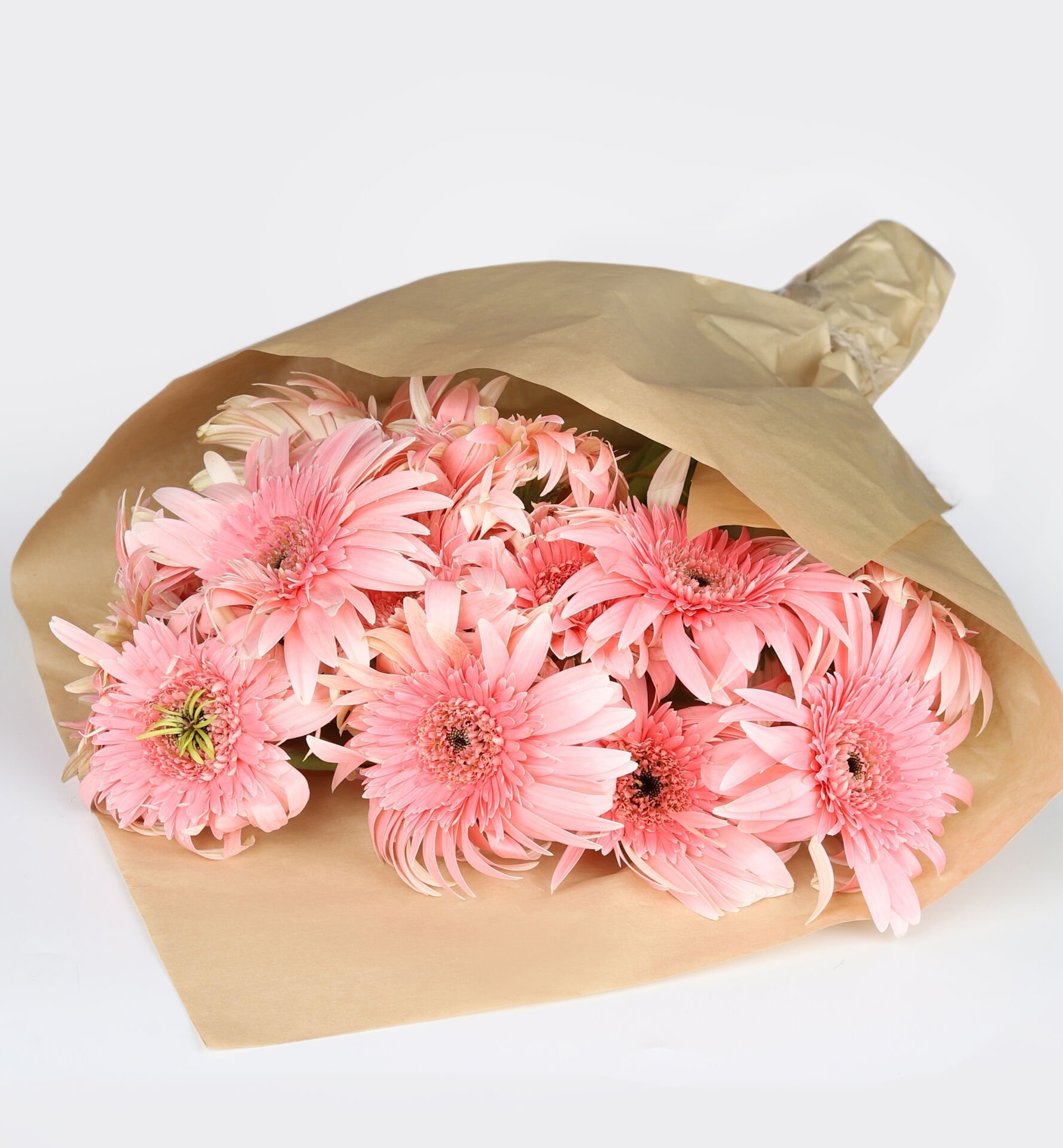 Pudra Zarafeti Gerbera Buketi