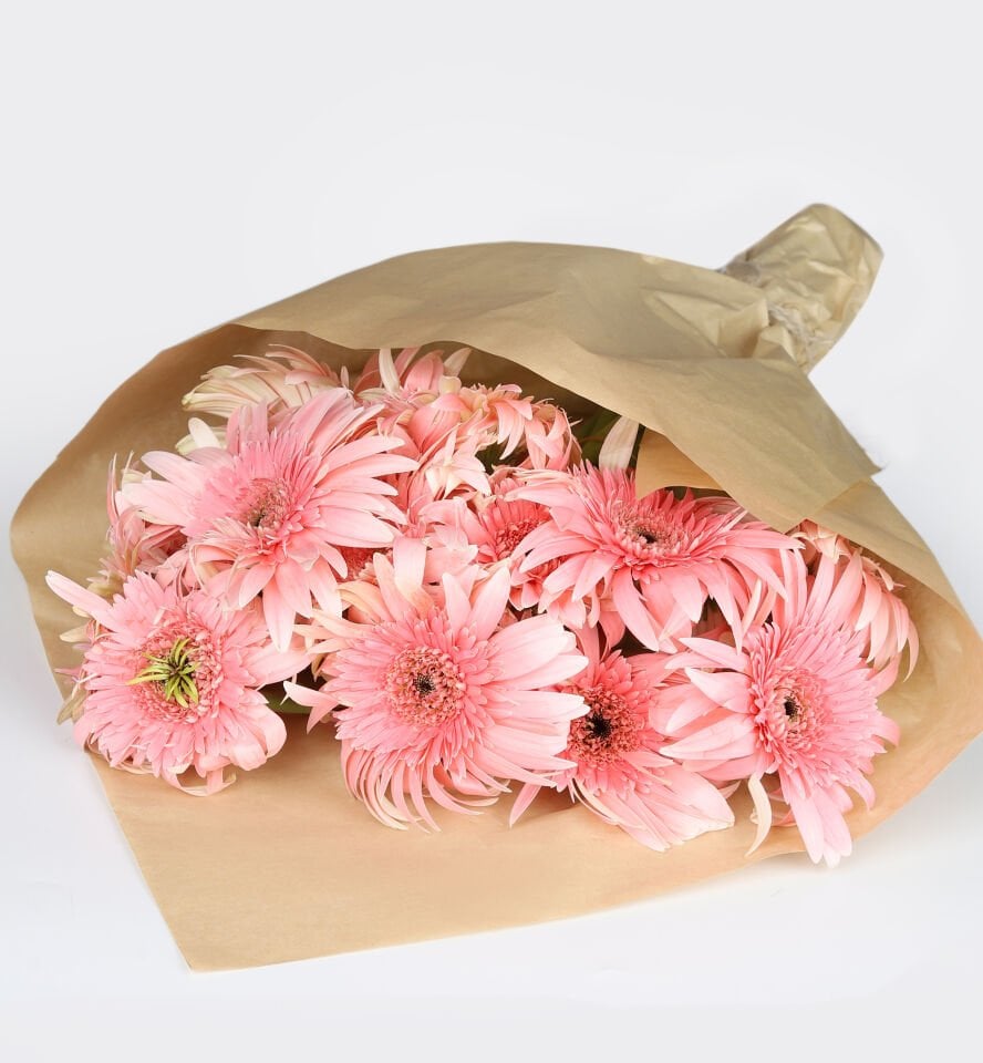 Pudra Zarafeti Gerbera Buketi