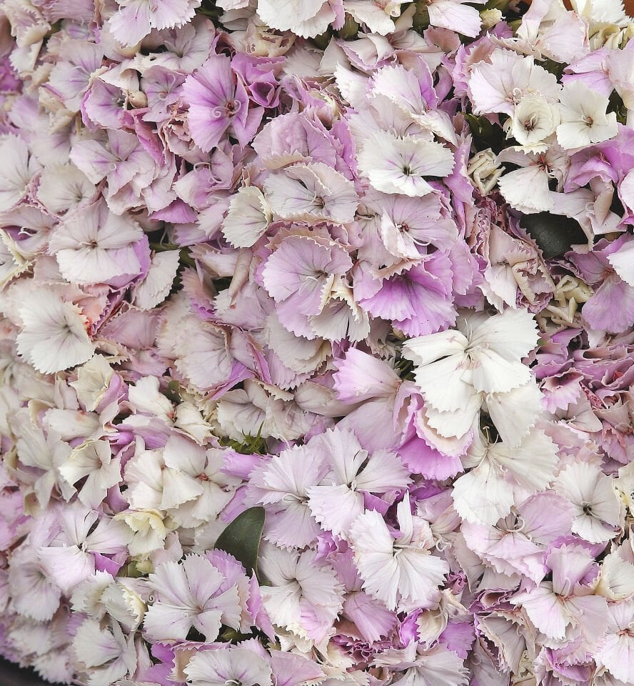 Pembe Hüsnüyusuf Buketi