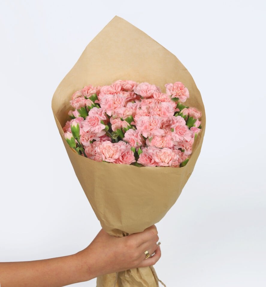 Pudra Karanfil Çiçek Buketi