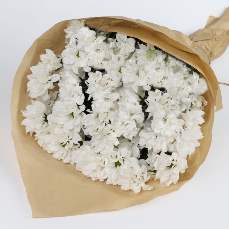 Doğal Beyaz Papatya Buketi