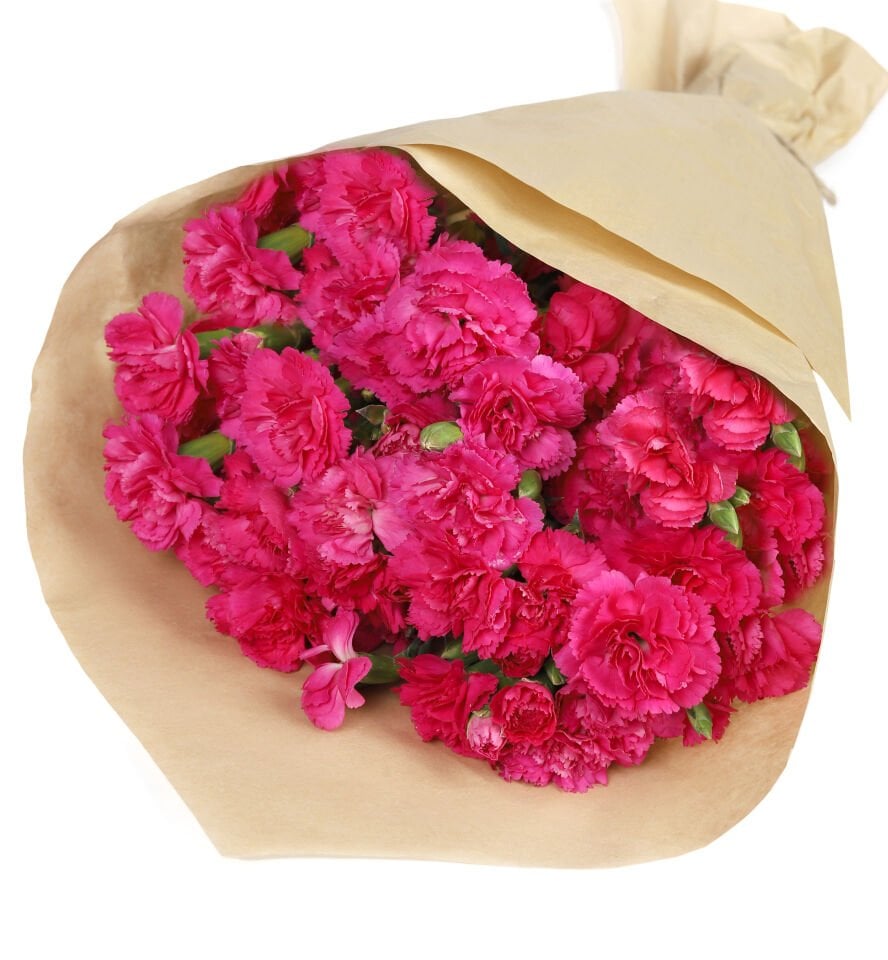 Canlı Fuşya Karanfil Buketi