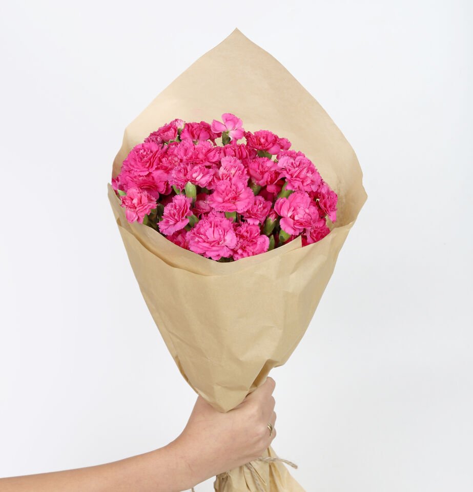 Canlı Fuşya Karanfil Buketi