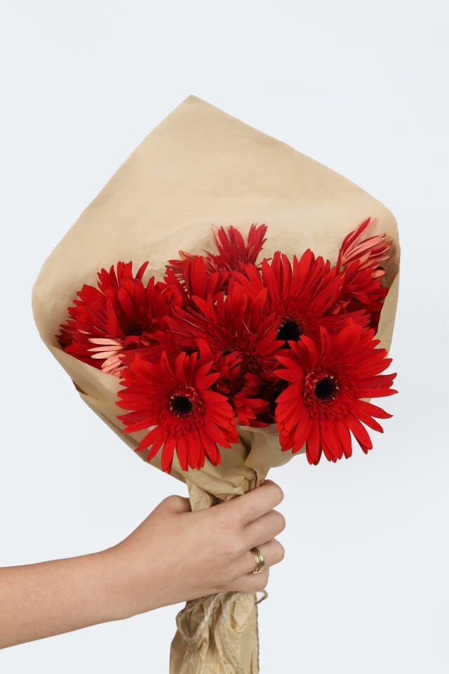 Kırmızı Gerbera Çiçek Buketi