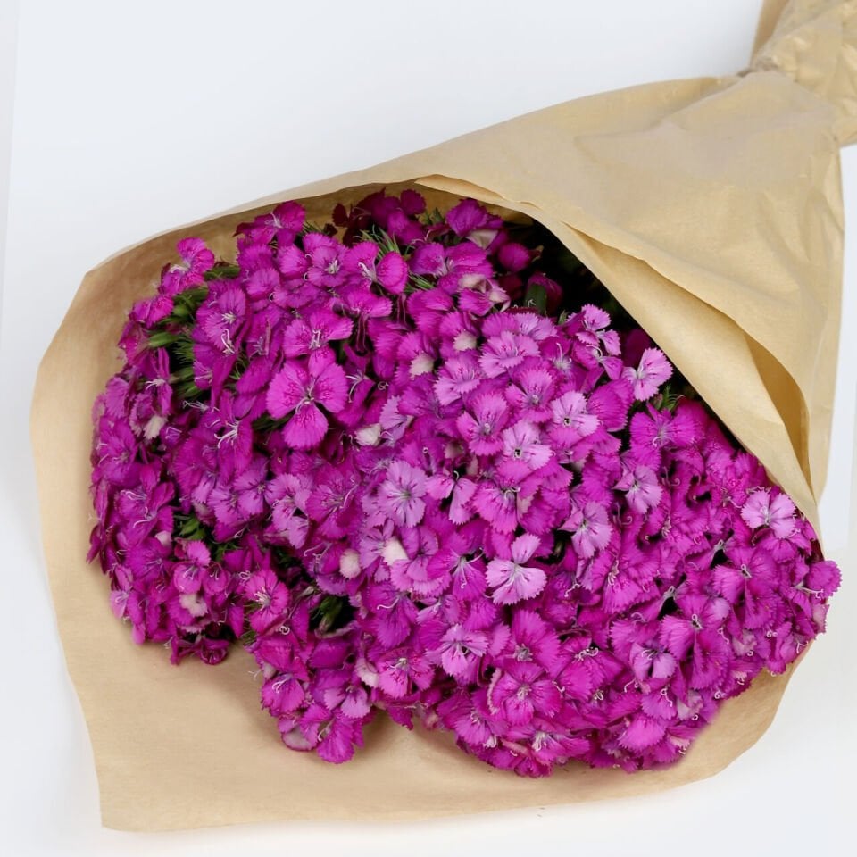 Mor Büyü Hüsnüyusuf Buketi