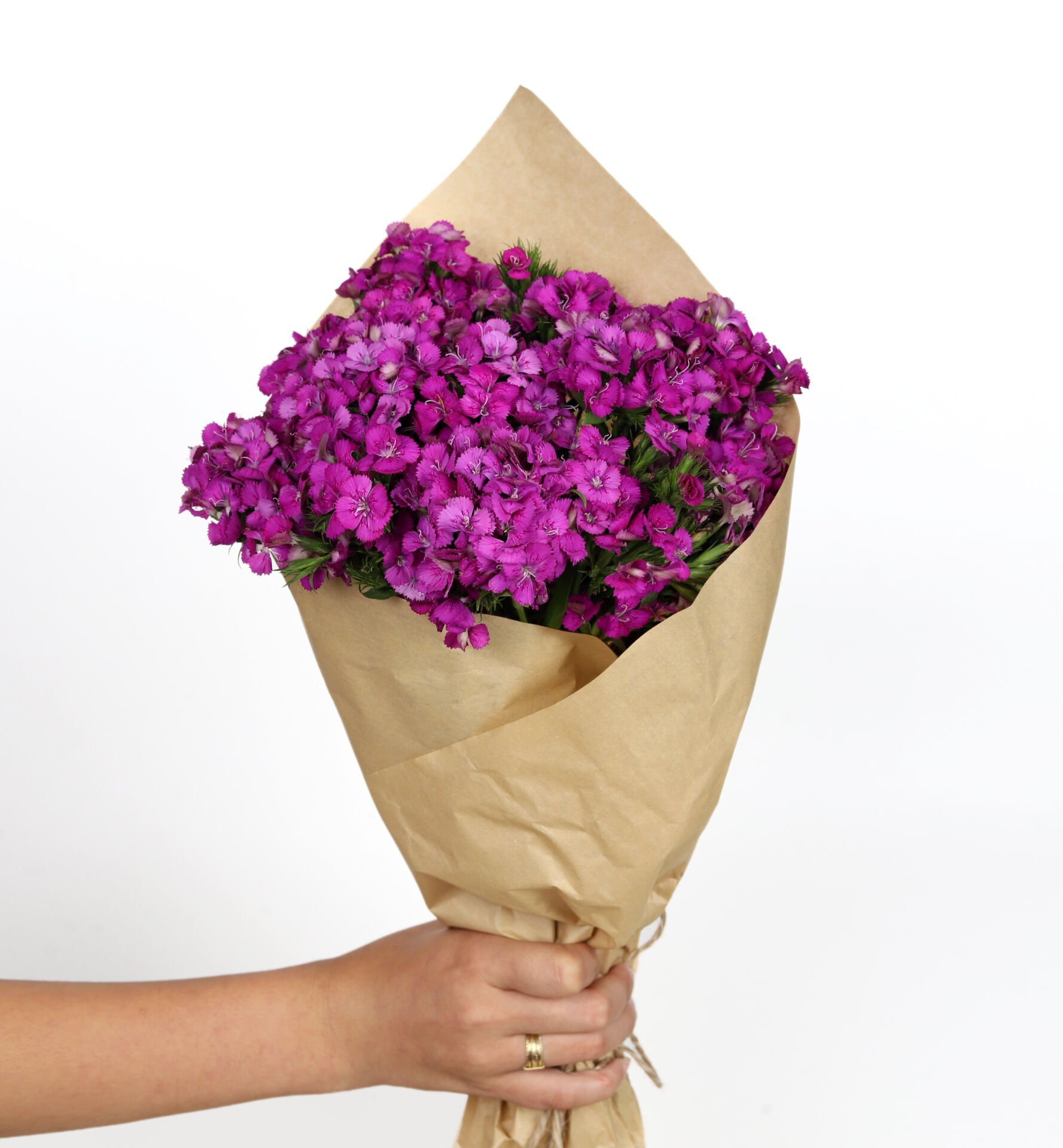 Mor Büyü Hüsnüyusuf Buketi