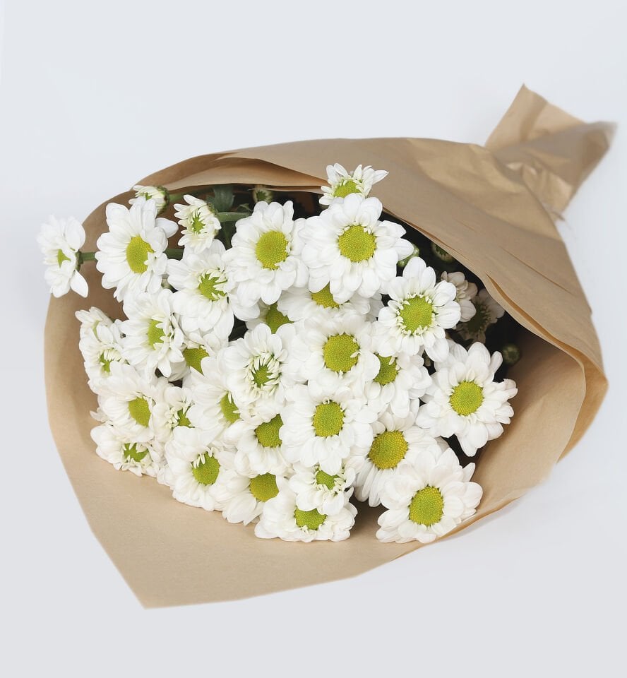 Doğal Papatya Buketi