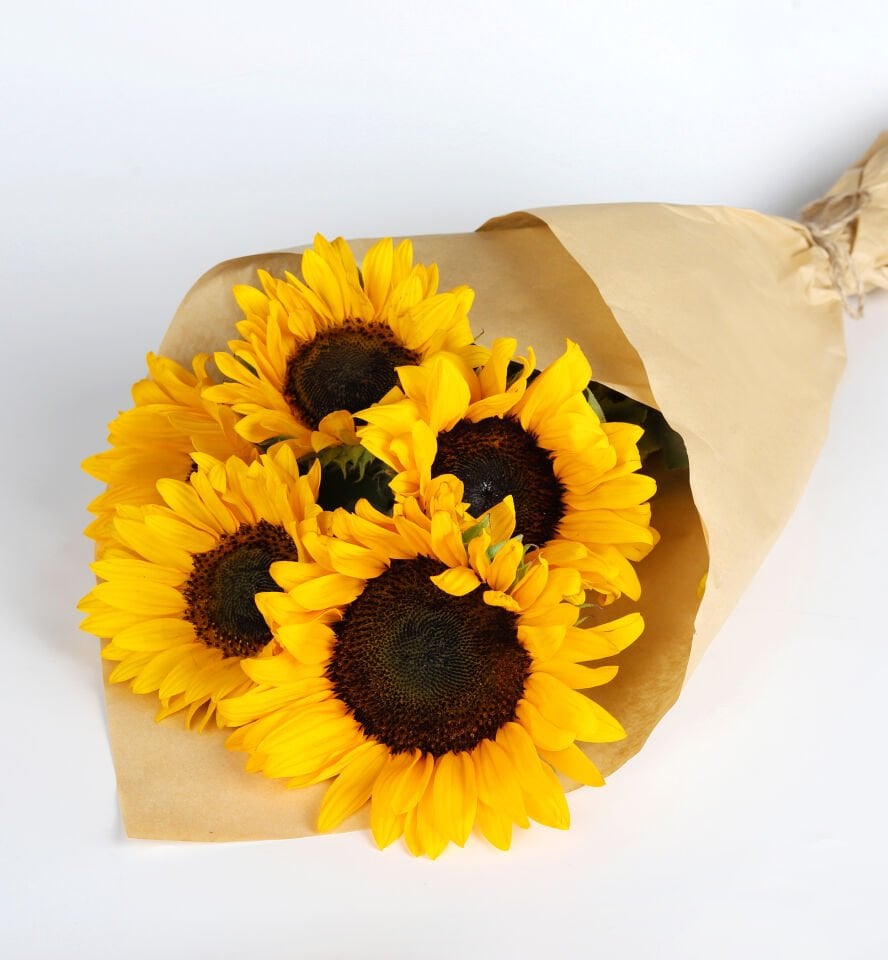 Günebakan Ayçiçeği Buketi