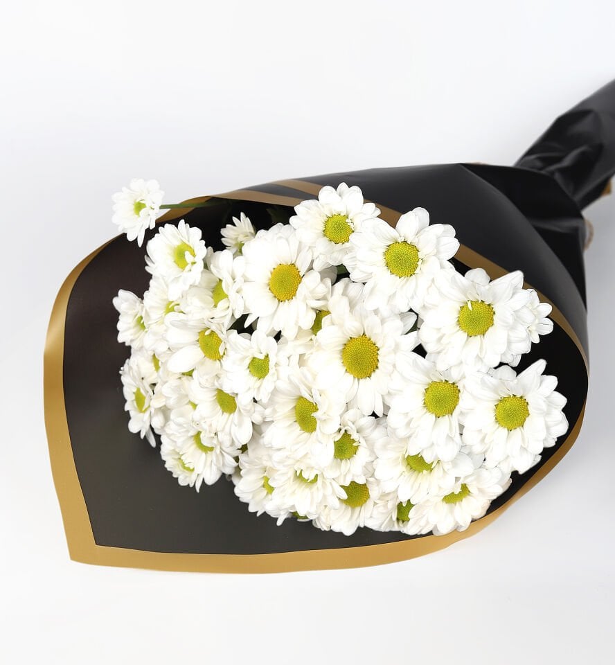 Siyah Zarfta Papatya Buketi