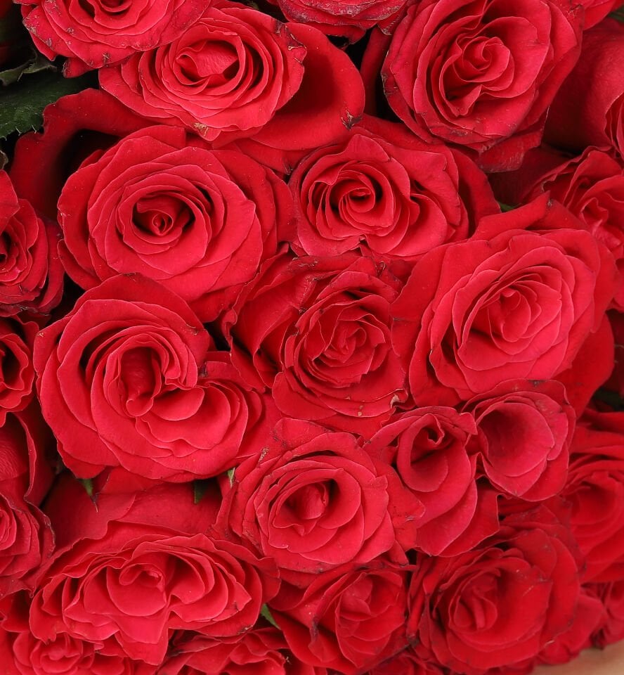 Aşkın Kraft 41'li Gül Buketi