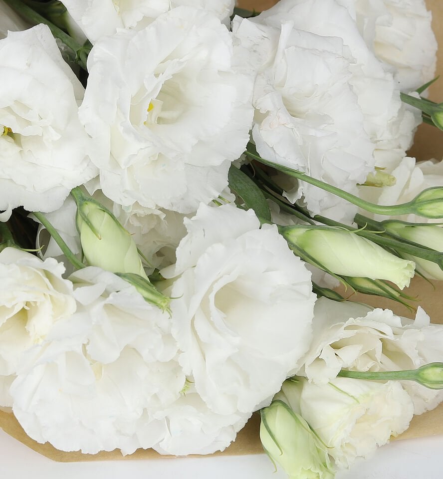 Beyaz Lisyantus Kraft Buketi