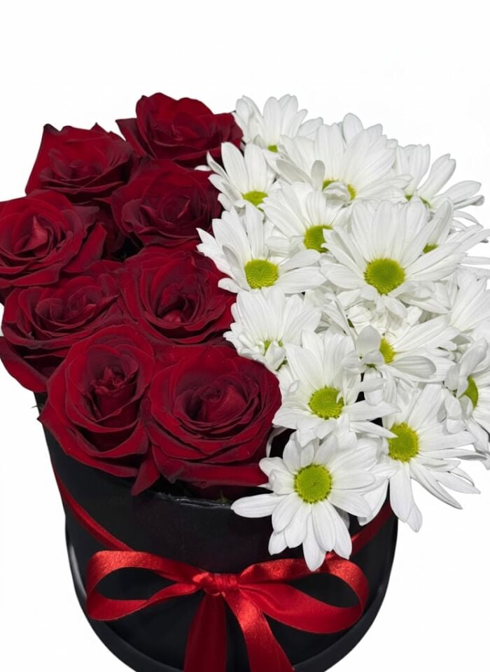 Siyah Silindir Kutuda Beyaz Papatya Kırmızı Gül